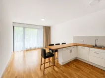Pronájem bytu 1+kk, Praha - Vinohrady, Korunní, 48 m2
