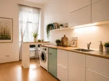Pronájem bytu 1+kk, Brno, Koliště, 22 m2