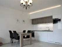 Pronájem bytu 1+kk, Olomouc, Loudova, 37 m2