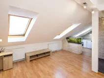 Pronájem bytu 2+kk, Opava, Mánesova, 48 m2