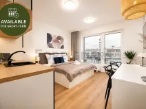 Pronájem bytu 1+kk, Brno, Cejl, 38 m2
