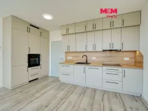 Pronájem bytu 1+kk, Plzeň - Litice, Srncová, 36 m2