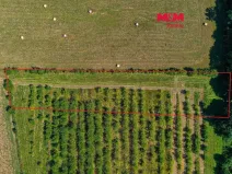 Prodej pole, Polom, 2771 m2