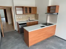 Pronájem bytu 4+kk, Ústí nad Labem, Masarykova, 101 m2