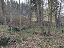 Prodej pozemku, Zlaté Hory, 384 m2