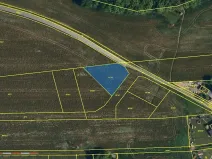 Dražba pole, Staré Město, 952 m2