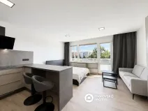 Prodej bytu 1+kk, Brno, Sevastopolská, 31 m2