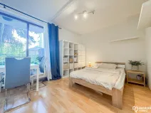 Pronájem bytu 1+kk, Praha - Chodov, Starochodovská, 36 m2