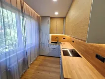 Prodej bytu 2+1, Praha - Záběhlice, Práčská, 52 m2