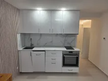 Pronájem bytu 1+kk, Praha, Nad olšinami, 27 m2