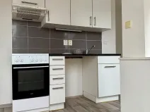Pronájem bytu 1+kk, Plzeň, Úslavská, 39 m2
