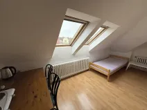 Pronájem bytu 1+kk, Praha - Dejvice, Na Hanspaulce, 22 m2