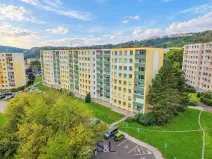 Prodej bytu 2+1, Ústí nad Labem, Žežická, 58 m2