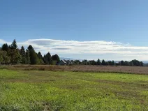 Prodej pozemku pro bydlení, Chocnějovice, 5680 m2