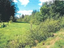 Prodej lesa, Pohled, 14570 m2