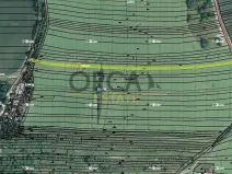 Prodej pole, Moravany, 575 m2