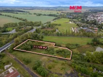 Prodej louky, Toužim, 11139 m2