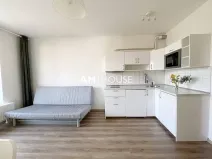 Pronájem bytu 1+kk, Praha - Malešice, Nad úžlabinou, 28 m2