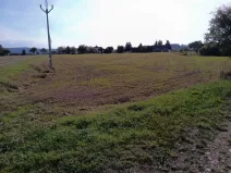 Dražba pole, Vrbice, 9030 m2