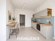 Pronájem bytu 1+kk, Brno, Cejl, 30 m2