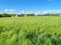 Prodej pozemku pro bydlení, Horní Bludovice, 1584 m2