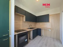 Prodej bytu 2+1, Havířov - Šumbark, Konzumní, 44 m2