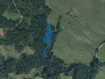 Dražba lesa, Dlouhý Újezd, 7291 m2