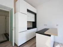 Pronájem bytu 2+kk, Praha - Žižkov, Bořivojova, 54 m2