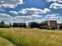 Dražba louky, Světlá nad Sázavou, 8449 m2