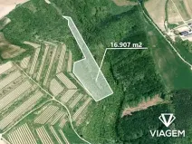 Prodej zahrady, Nikolčice, 16907 m2