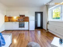 Pronájem bytu 1+kk, Svémyslice, 30 m2