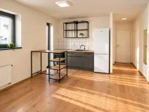 Pronájem bytu 2+kk, Brno - Štýřice, Sovinec, 42 m2