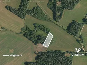 Prodej podílu lesa, Chanovice, 1232 m2