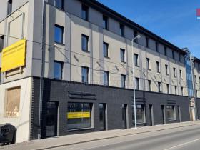 Pronájem bytu 3+kk, Český Těšín, Jablunkovská, 109 m2