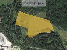 Prodej louky, Nová Role - Jimlíkov, 6450 m2