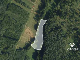 Prodej podílu pole, Morašice, 3959 m2