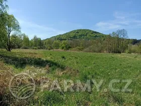 Prodej louky, Stráž pod Ralskem, 60096 m2