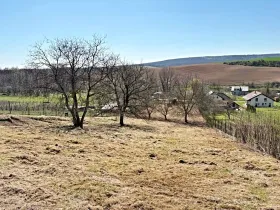 Prodej pozemku pro bydlení, Nové Bránice, 4162 m2