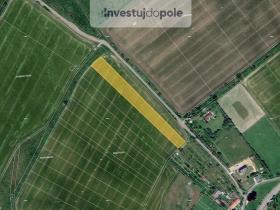 Prodej pole, Věžky, 2045 m2