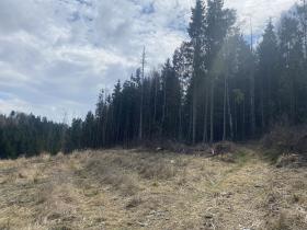 Prodej lesa, Červený Hrádek, 574 m2
