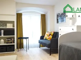 Pronájem bytu 1+kk, Brno, Koliště, 28 m2