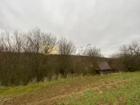 Dražba lesa, Šarovy, 11619 m2