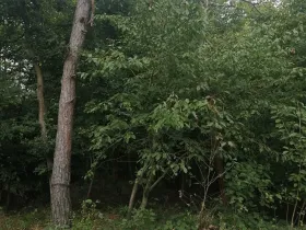 Prodej pozemku pro bydlení, Hradištko, Na Vrcholu, 1486 m2