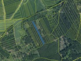 Prodej lesa, Hradiště, 5650 m2