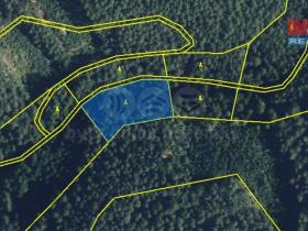 Prodej lesa, Proseč, 5021 m2