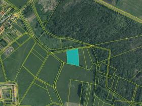 Prodej lesa, Mažice, 5129 m2