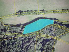 Prodej lesa, Milý, 7670 m2