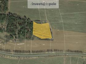 Prodej lesa, Čepřovice, 4837 m2