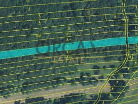 Prodej lesa, Hradčovice, 5225 m2