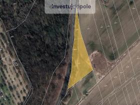 Prodej louky, Šumperk, 4205 m2